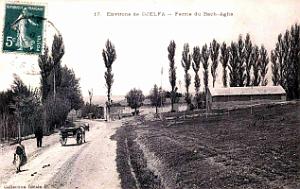 Djelfa - Ferme du Bach-Agha